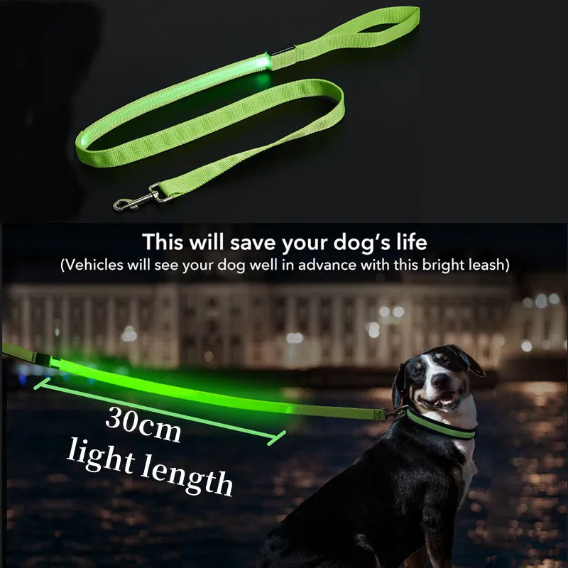 LED Dog Leash Rope