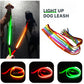 LED Dog Leash Rope