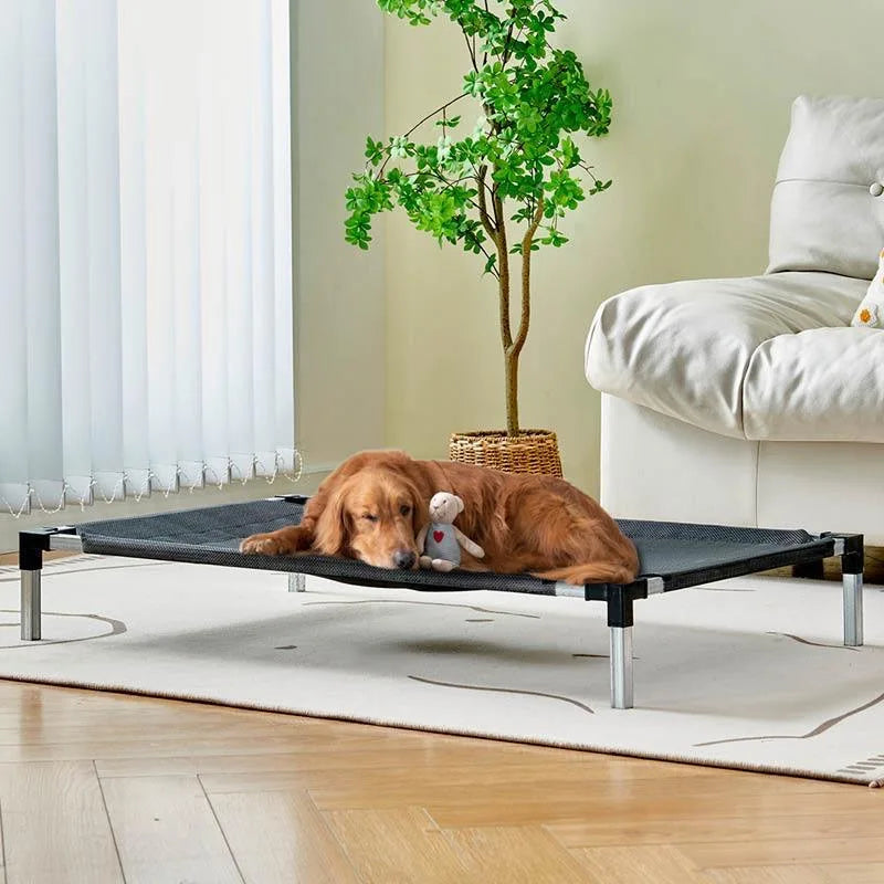 Dog Bed Elevated Bed