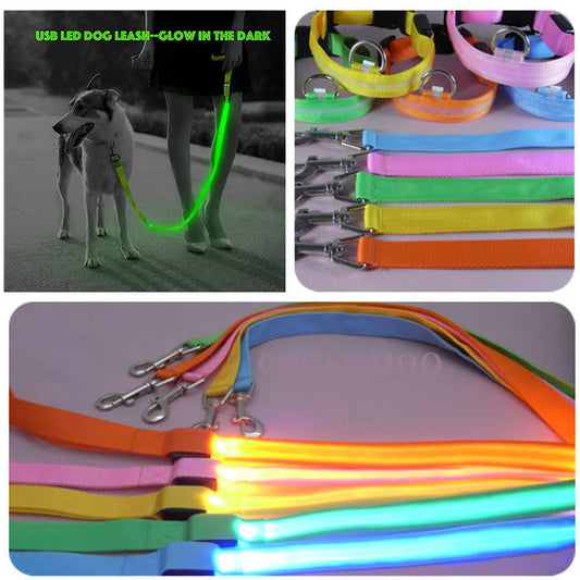 LED Dog Leash Rope